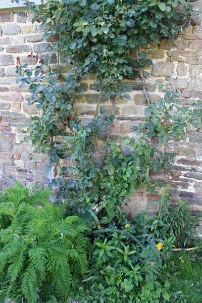 20110816 Boquet Bosquet Buildings 156.jpg
